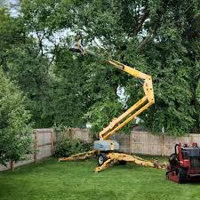 Best Hedge Trimming  in Channel Lake, IL